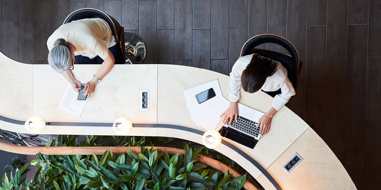 Two adults sitting at a desk in a business setting.